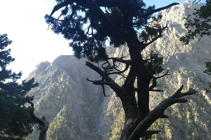 Imbros Gorge Hike and Frangokastello Beach Day Trip from Chania photo 2