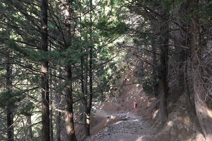Imbros Gorge Hike and Frangokastello Beach Day Trip from Chania photo 3