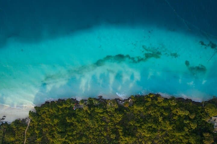 El Nido Mangrove and Sandbar Tour with Beach Lunch — Palawan Boat Excursion photo 5