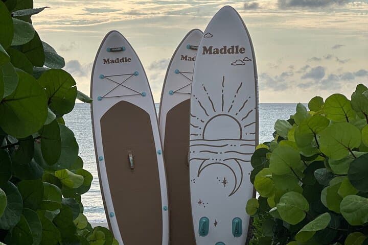 Paddle Board Picnic to Peanut Island — Palm Beach Paddleboard Experience photo 4