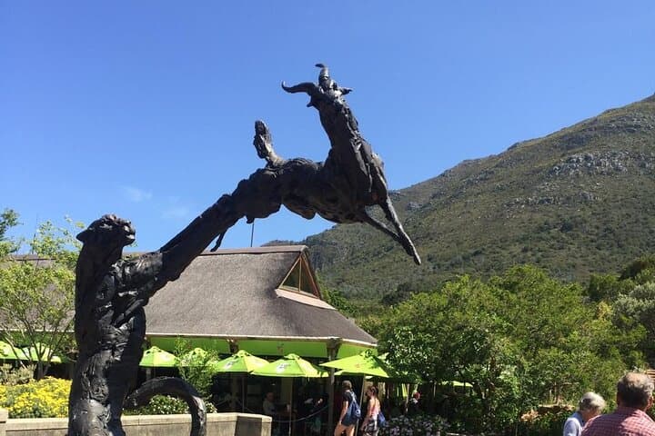 Table Mountain, Constantia & Kirstenbosch: Private Day Tour from Cape Town photo 6