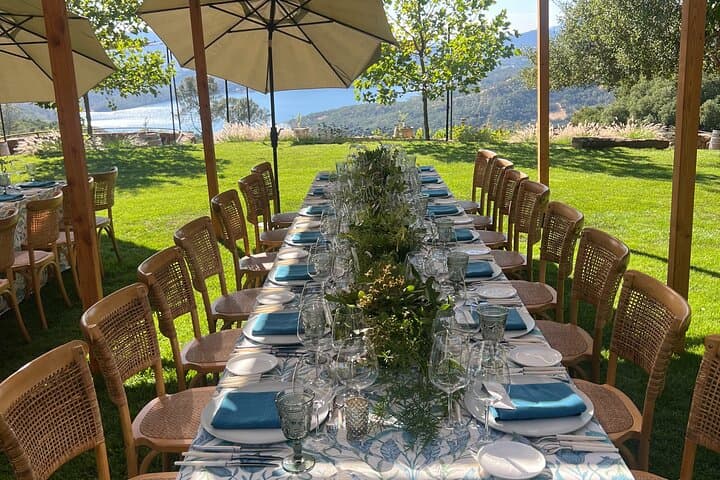 Private Napa Valley Wine Tour with Champagne and Local Hosts