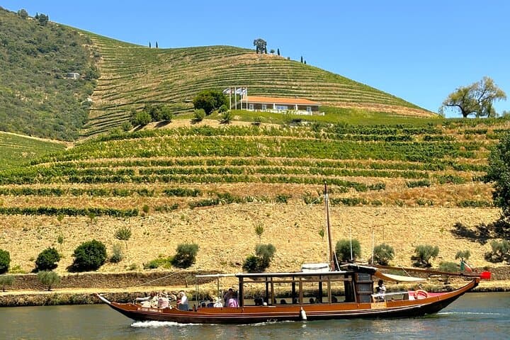 Douro Valley Private Tour: Wine Farms, River Cruise & Tasting from Porto photo 2