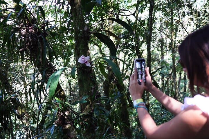 Half-Day Orchid Sanctuary Tour from Cobán — Orquigonia Cloud Forest Experience photo 4