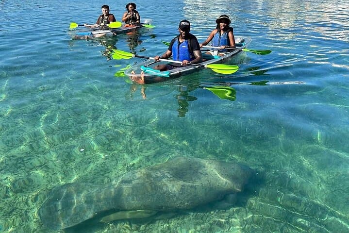 Clear Kayak Tour in Condado Lagoon — Morning Urban Kayak in San Juan