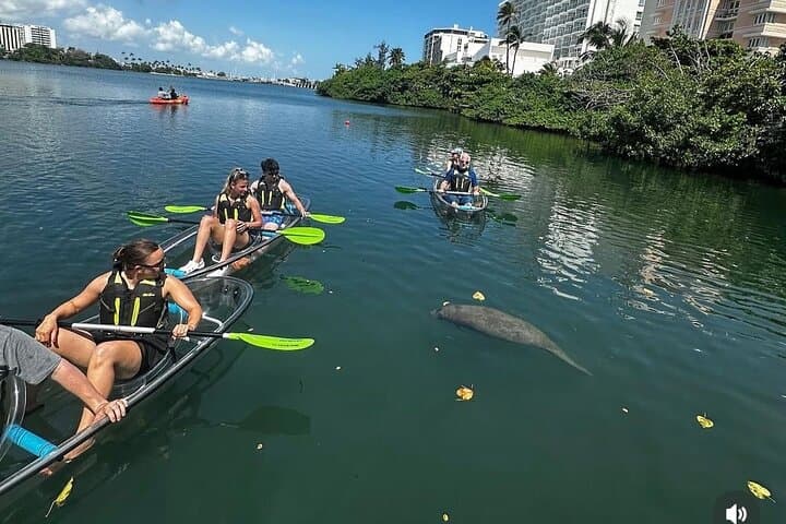 Clear Kayak Tour in Condado Lagoon — Morning Urban Kayak in San Juan photo 2