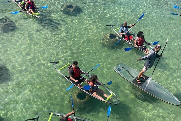 Clear Kayak Tour in Condado Lagoon — Morning Urban Kayak in San Juan photo 6