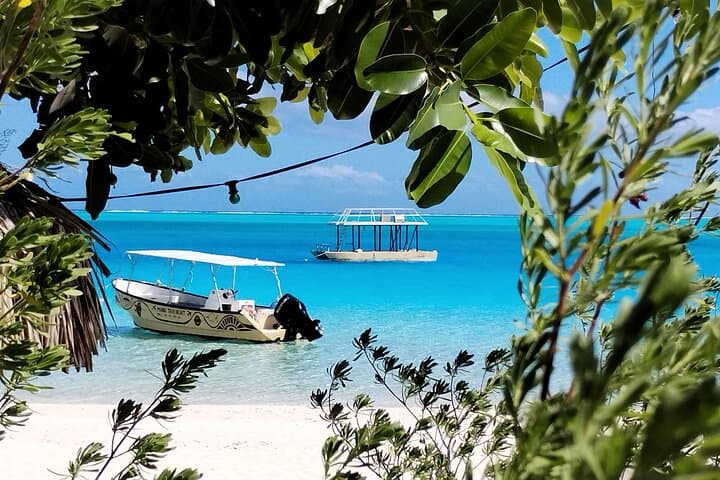 Bora Bora Half-Day Motu Fanfan Lagoon Snorkel with Mantas & Sharks photo 4