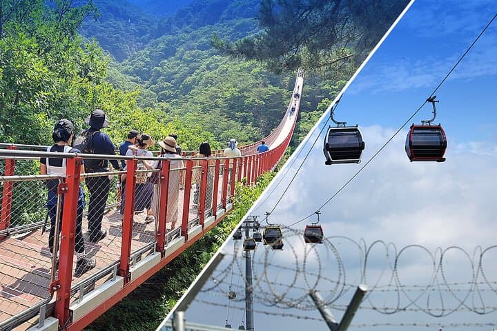 DMZ Guided Tour from Seoul: Dora Observatory, 3rd Tunnel & Gamaksan Suspension Bridge