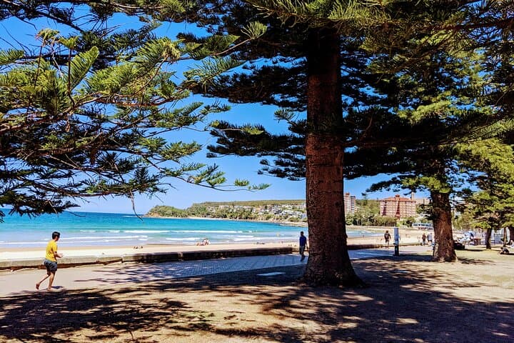 Explore Manly and Northern Beaches: Scenic Coastal Walks and Ocean Vistas Near Sydney
