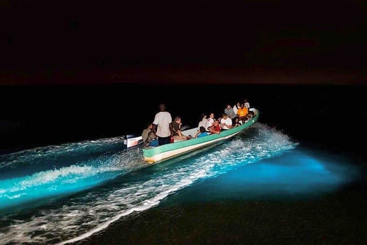 Bocas del Toro Bioluminescence Snorkel: Night Boats, Glowing Waters & Safe Viewing Tips
