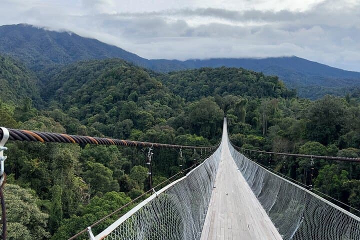 Daxi Xiaowulai Day Tour from Taipei — Xiaowulai Skywalk, Daxi Tea Factory & Old Street