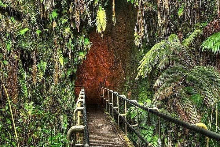 Road to Hana Deluxe: Rainforest, Waterfalls & Black Sand Beach Tour from Maui photo 6