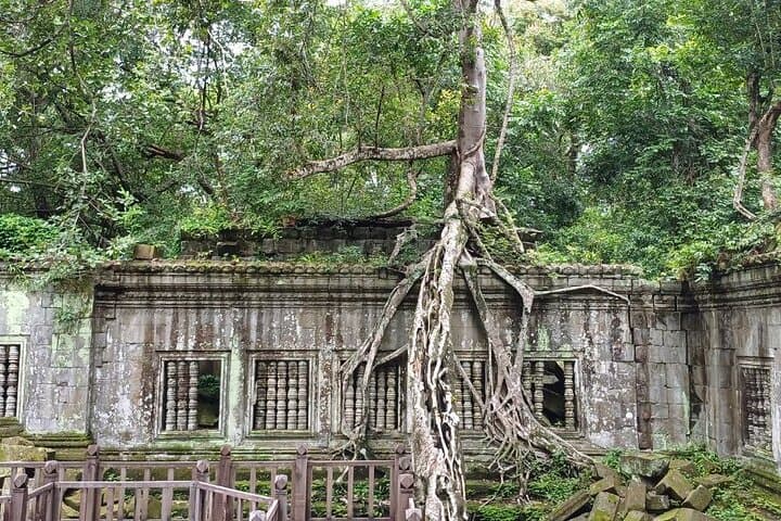 Classic 3-Day Angkor Temples Tour: Angkor Wat, Bayon & Ta Phrom photo 5