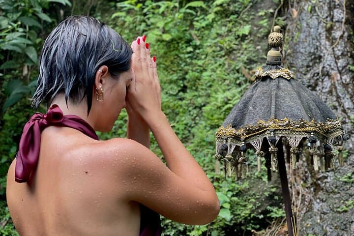Ubud Purification Ritual & Tegallalang Rice Fields Day Tour