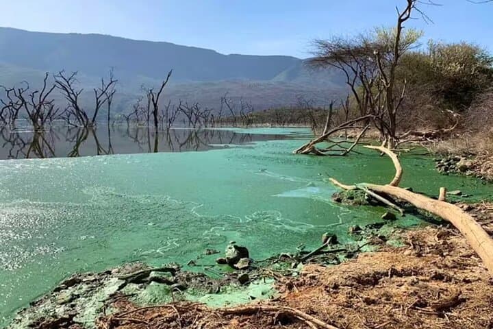 Lake Bogoria Flamingo Spectacle: Day Trip from Nairobi photo 2