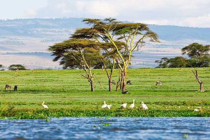 Crescent Island Walking Safari and Lake Naivasha Boat Ride — Full-Day Guide photo 6