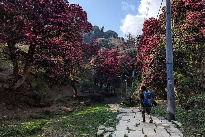 Private Guided Day Hike on the Annapurna Circuit photo 6