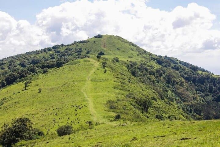 Ngong Hills Ridge Hike: Nairobi Day Tour with Rift Valley Views photo 5