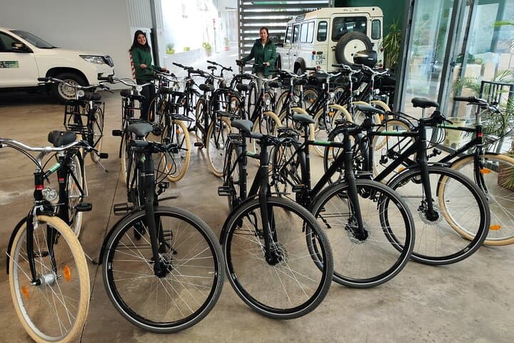 Explore Seville by Bike: City-Centre Bicycle Rentals & Best Routes photo 1