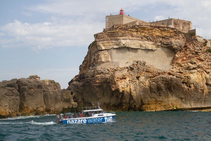 Nazaré Cetacean & Canyon Boat Tour — Whale Watching and Praia do Norte Views photo 5