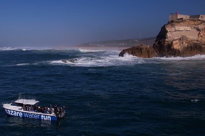 Nazaré Cetacean & Canyon Boat Tour — Whale Watching and Praia do Norte Views photo 6