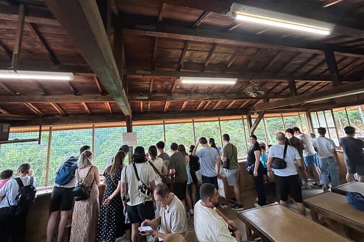 Day Trip from Osaka to Kyoto: Private Shore Excursion with Local Japanese Guide photo 3