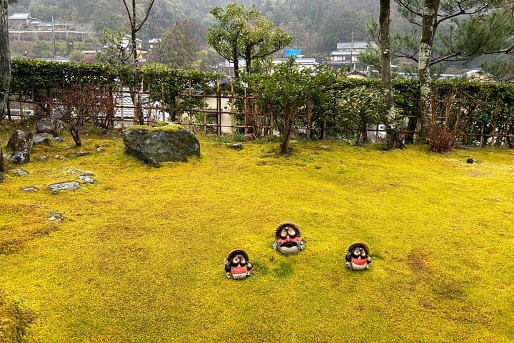 Day Trip from Osaka to Kyoto: Private Shore Excursion with Local Japanese Guide photo 4