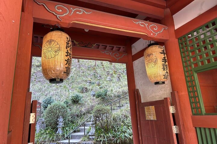 Day Trip from Osaka to Kyoto: Private Shore Excursion with Local Japanese Guide photo 5
