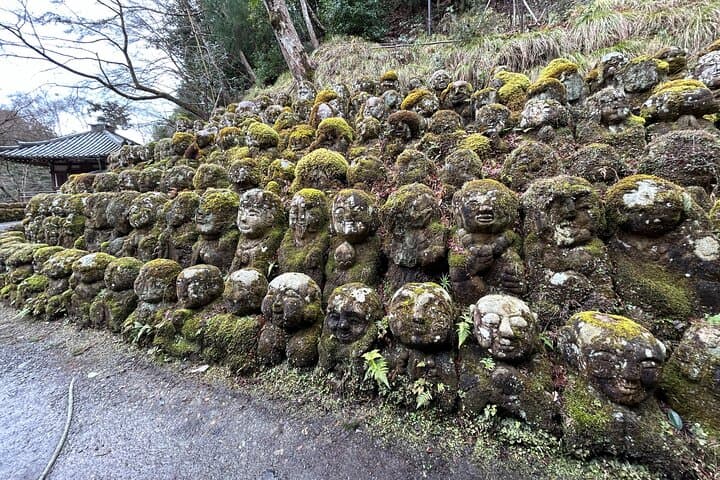 Day Trip from Osaka to Kyoto: Private Shore Excursion with Local Japanese Guide photo 6