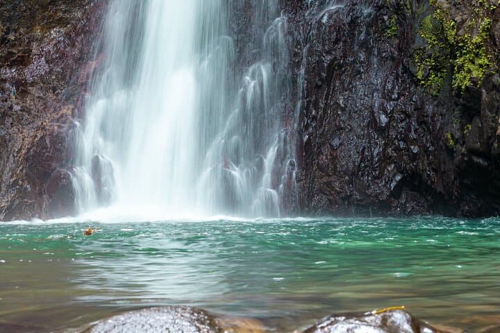 Half-Day Grenada: Seven Sisters Waterfall Hike & Grand Etang Lake photo 6