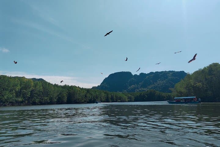 Langkawi SkyCab & SkyBridge with Private Kilim Mangrove Boat — Full-Day Combo photo 4