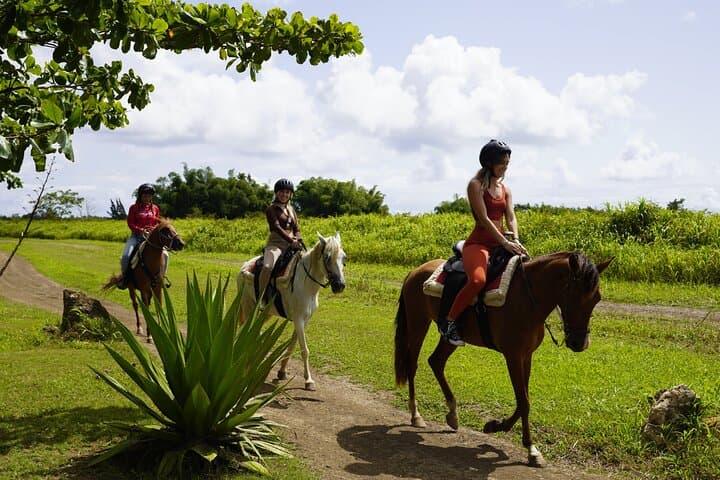 Hacienda Campo Rico Horseback Riding — Paso Fino Ranch Tour Near San Juan photo 4