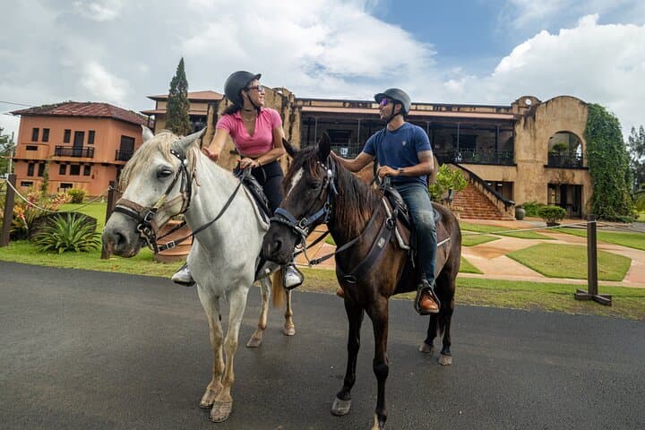 Hacienda Campo Rico Horseback Riding — Paso Fino Ranch Tour Near San Juan photo 6