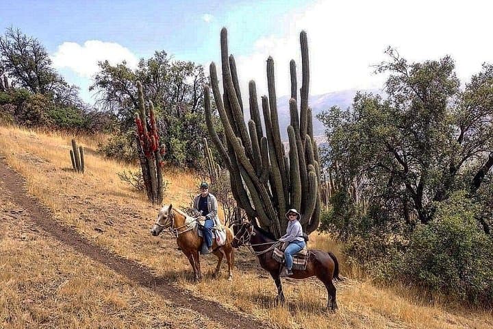 Andes Foothills Horseback Ride with Cheese & Wine near Santiago photo 4