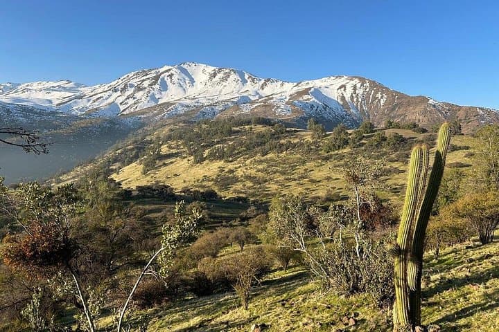 Andes Foothills Horseback Ride with Cheese & Wine near Santiago photo 2