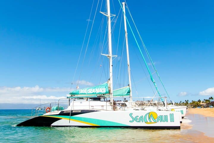 Afternoon Snorkel from Ka'anapali Beach — West Maui Turtle & Reef Trip photo 5