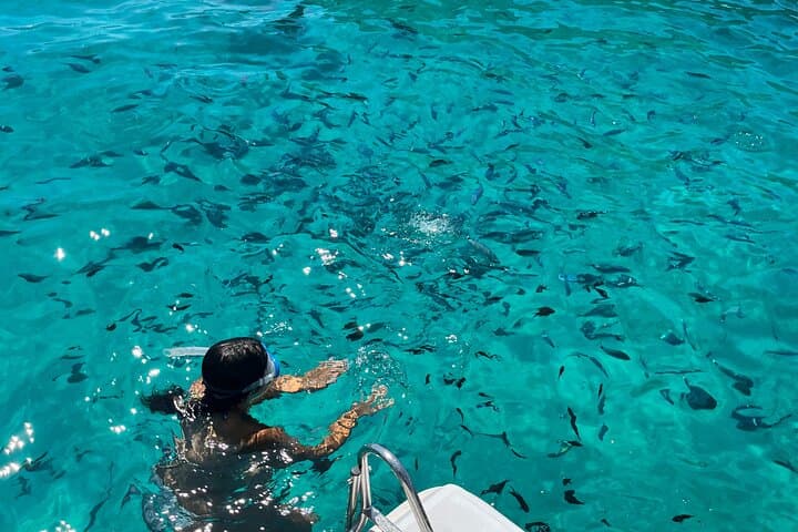 Private Speed Boat to Comino's Blue Lagoon & Caves — 2-Hour Private Tour photo 3