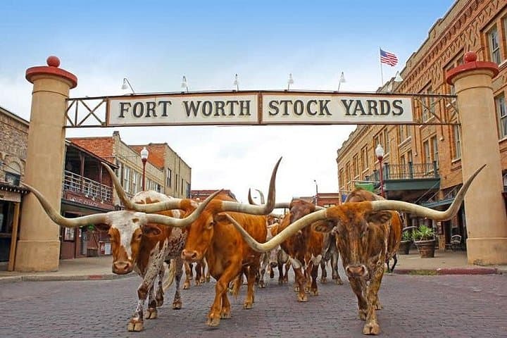 Fort Worth Stockyards Foodie Tour: Taste Texas History on a Guided Culinary Walk