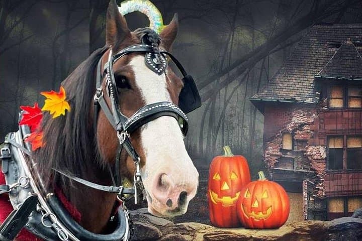Victoria Haunted Carriage Tour: 60-Minute Horse-Drawn Halloween Ride photo 1