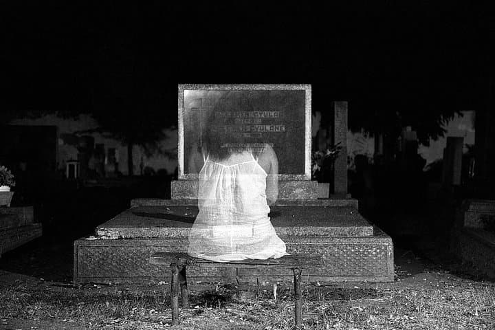 Victoria Haunted Carriage Tour: 60-Minute Horse-Drawn Halloween Ride photo 3