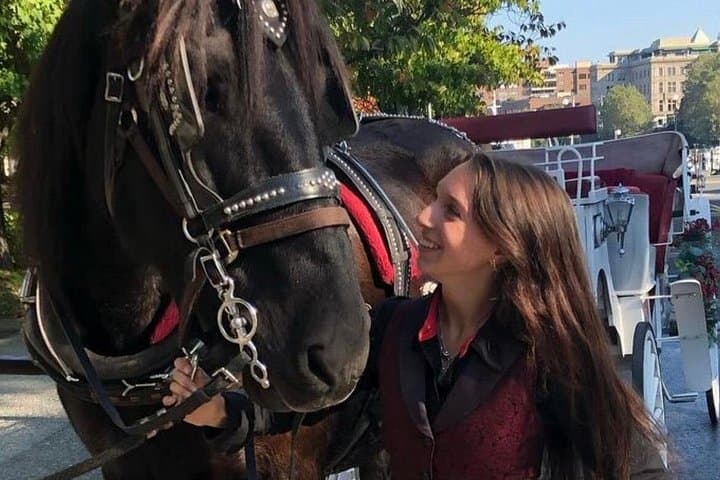 Victoria Haunted Carriage Tour: 60-Minute Horse-Drawn Halloween Ride photo 4