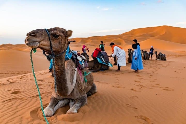 4-Day Private Moroccan Sahara Safari: Erg Chigaga, Ait Benhaddou & Draa Valley photo 1