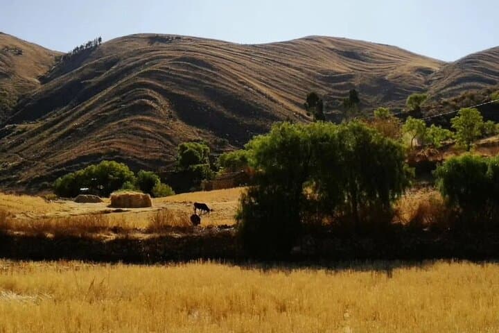 Maragua Crater & Inca Trail: 1-Day Trek from Sucre photo 6