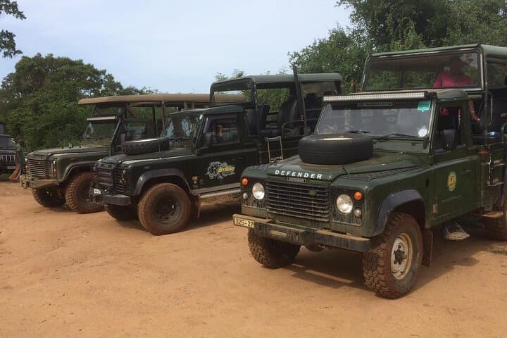 Yala National Park Leopard Safari: Explore Wild Wonders photo 3