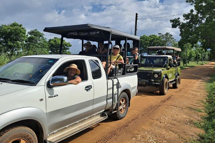 Udawalawe National Park Elephant Safari from Hambantota Port photo 1