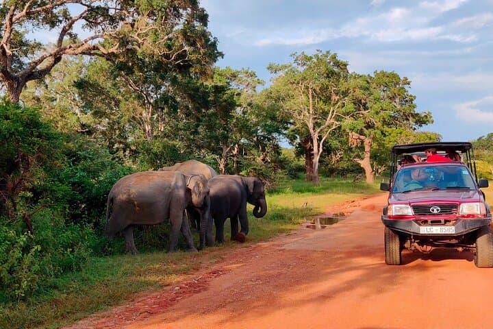 Udawalawe National Park Elephant Safari from Hambantota Port photo 4