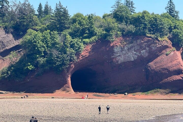Exclusive Private Sightseeing Tour Saint John Bay of Fundy & Historic Sights