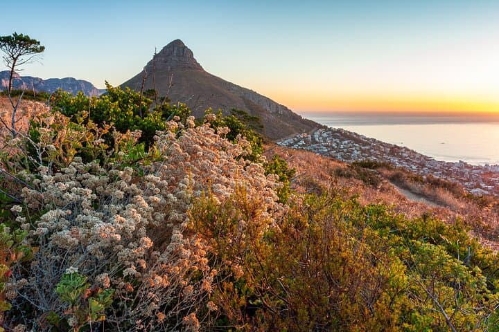 Lion's Head Sunrise & Sunset Hike — Guided Cape Town Summit Views photo 4