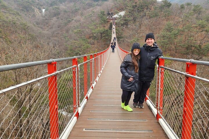 Private One-Day DMZ Tour & Gamaksan 150m Suspension Bridge from Seoul photo 4